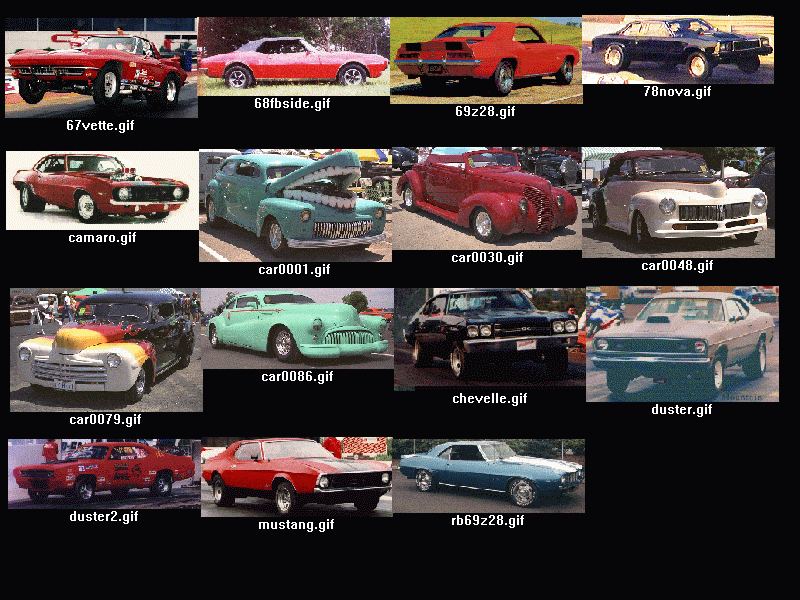 [cars.gif]